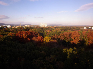 20191201-万博公園1.jpg