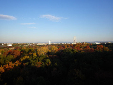 20191201-万博公園2.jpg