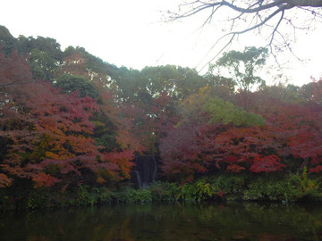 20191201-万博公園3.jpg