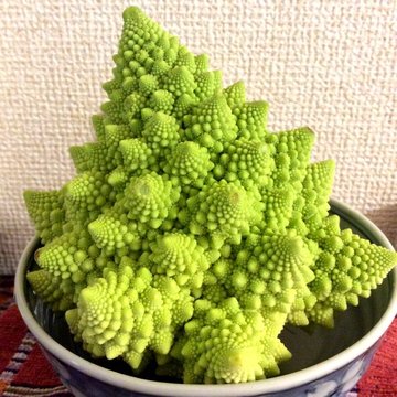 Broccoli-romanesco.jpg