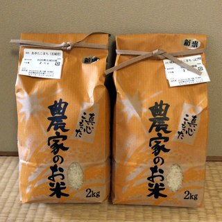 akitakomachi-2018-1.jpg