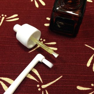 dentall-taft-4.jpg