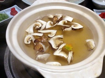 hamomatsu-2019-2.jpg