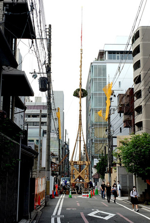 hokaboko-tate-20210713.jpg