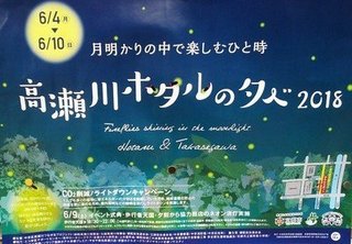 hotaru-3.jpg