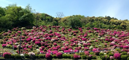 keage-tutuji-2.jpg