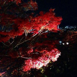 kiyomizu-fall-2.jpg