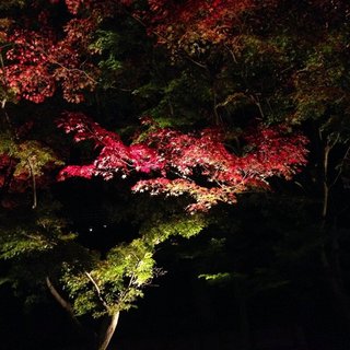 kiyomizu-fall-4.jpg