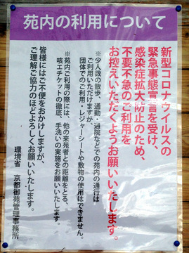 kyotogyoen-2020-6.jpg