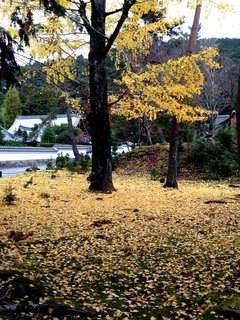 nanzenji-2.jpg