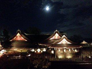 odoi-6.jpg