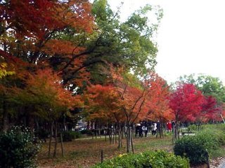 osakajyo-4.jpg