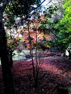 otowagawa-1.jpg