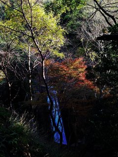 otowagawa-2.jpg