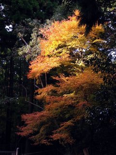 otowagawa-3.jpg