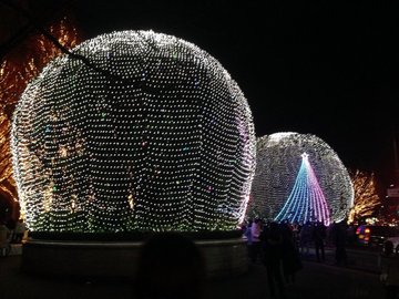 rohm-ilmi-2018-2.jpg