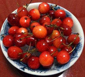 sakuranbo-2019-5.jpg