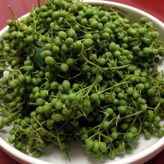 sansho-1.jpg