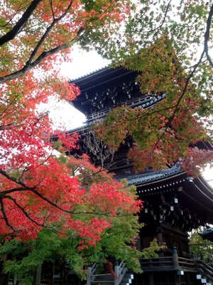shinnyodo-1.jpg