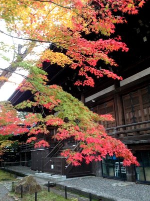 shinnyodo-2.jpg