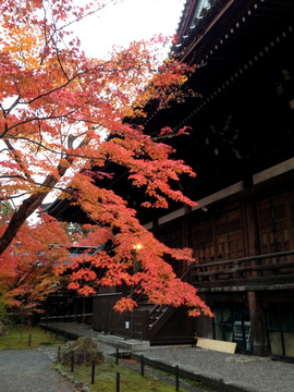 shinyodo-20191124-4.jpeg