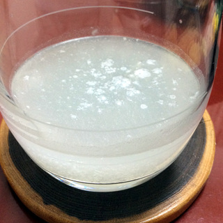 spica-6.jpg