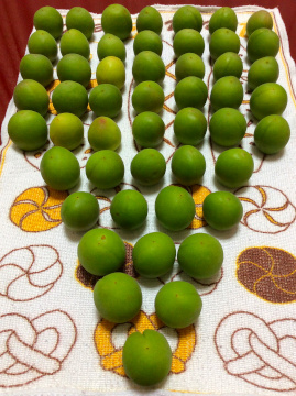 umeshu-2020-2.jpeg