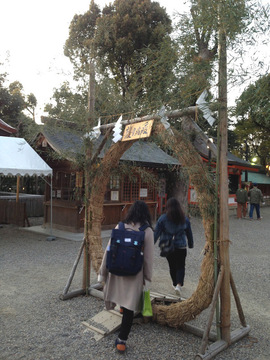 yasaka-chinowa-202003.jpeg